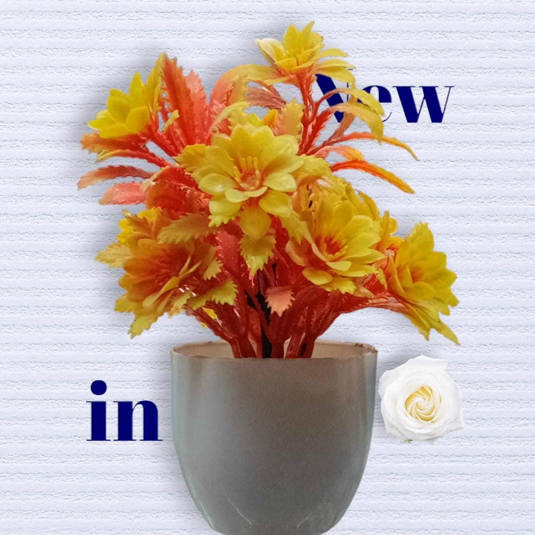 "Radiant Citrus Bloom: The 5-Inch Orange Flower with a White Base"